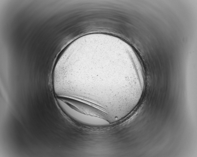 X0000093421521200711091408