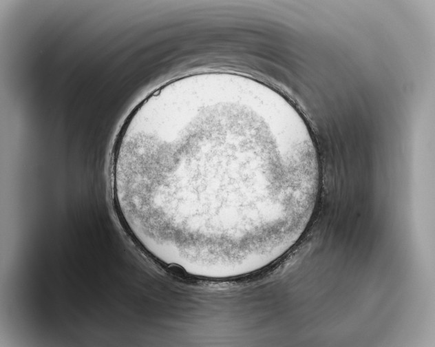 X0000093421522200711091408