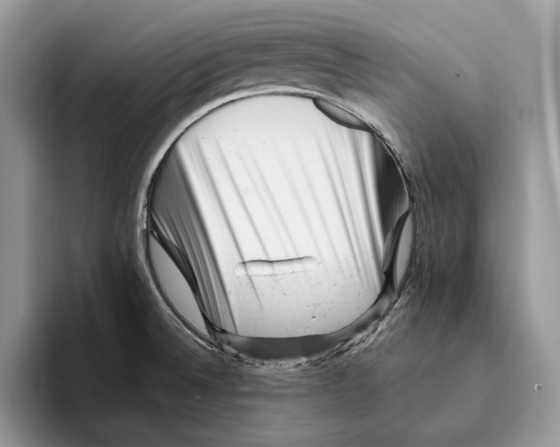 X0000093421524200711091408