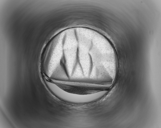 X0000093421525200711091408