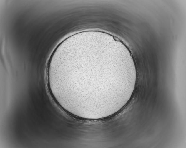 X0000093421526200711091408