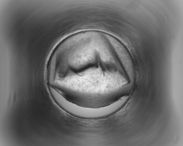 X0000093421527200711091408