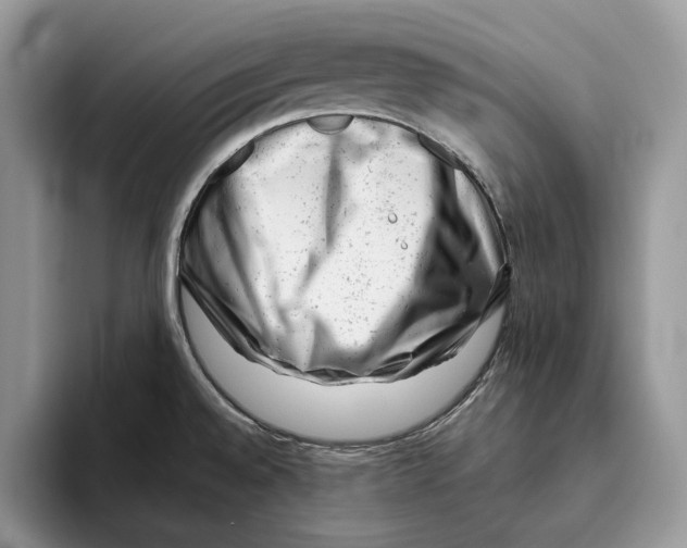 X0000093421528200711091408