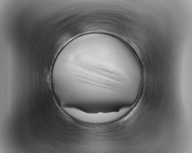 X0000093421529200711091408