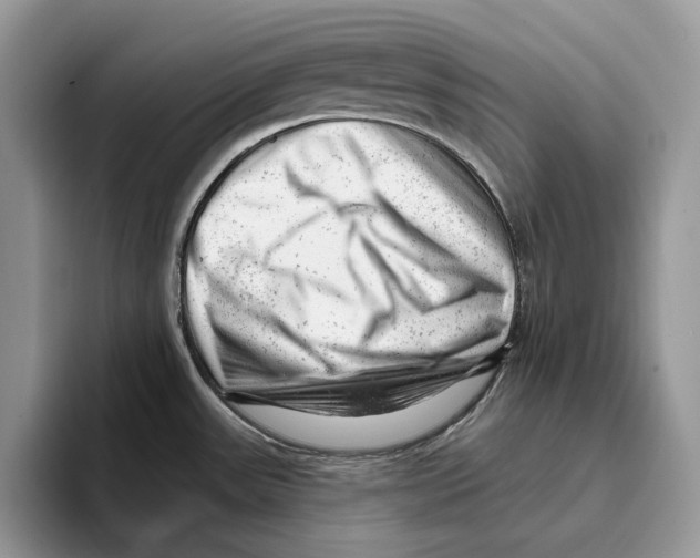 X0000093421531200711091408