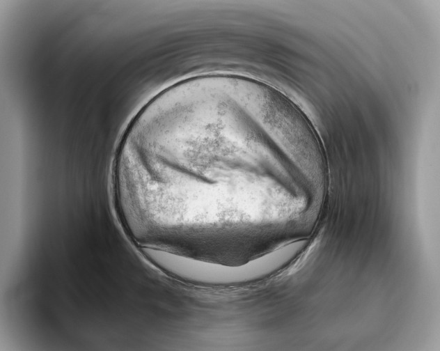 X0000093421533200711091408