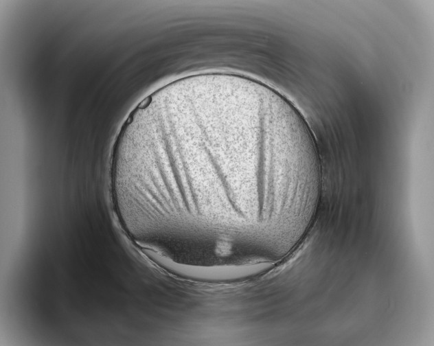 X0000093421534200711091408