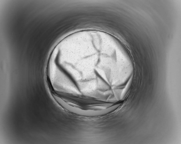 X0000093421536200711091408