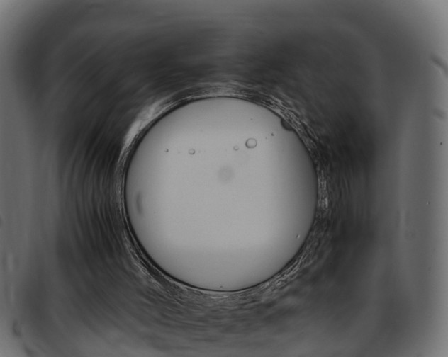 X0000093430004200710120927