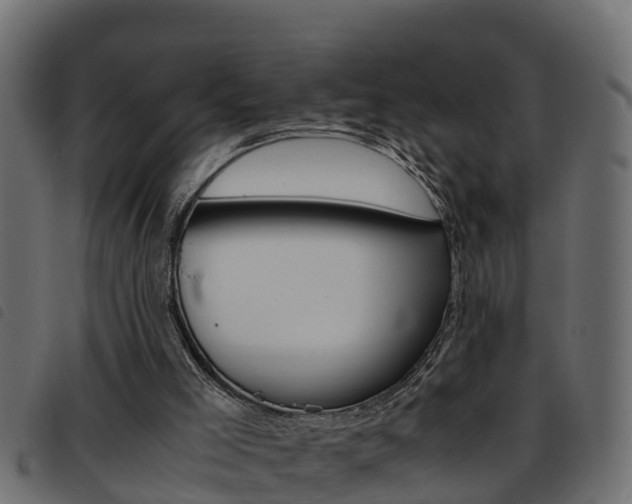 X0000093430005200710120927