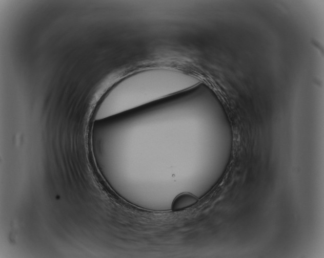 X0000093430006200710120927