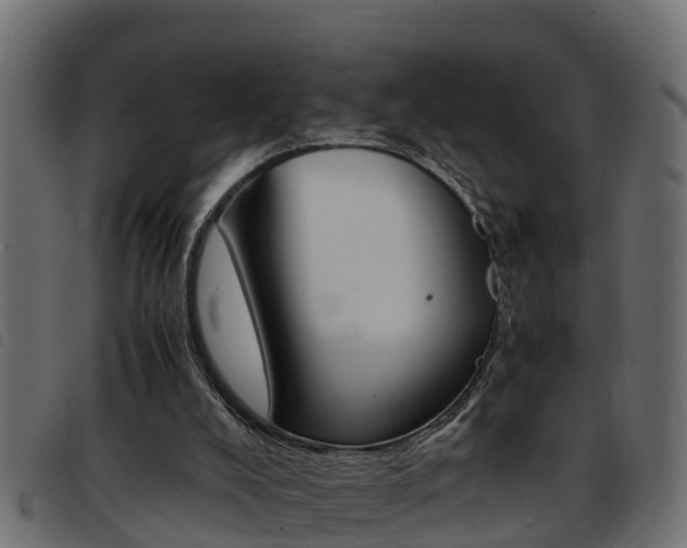 X0000093430008200710120927
