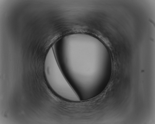 X0000093430009200710120927