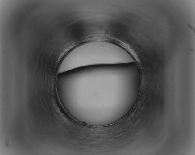 X0000093430010200710120927