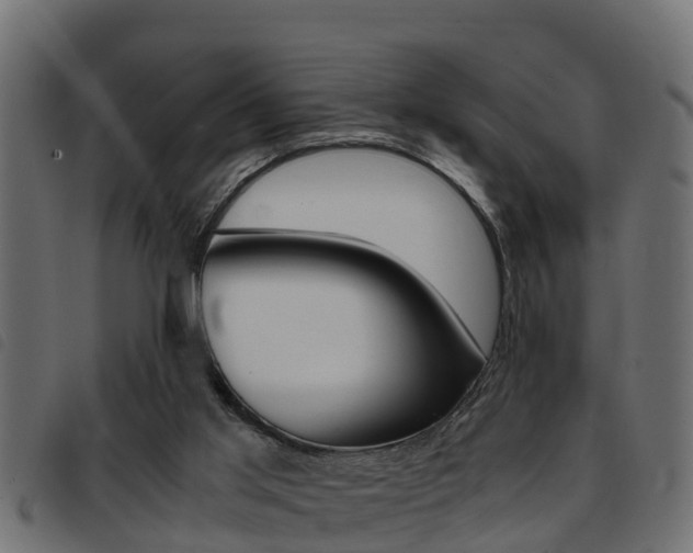 X0000093430013200710120927
