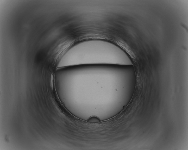 X0000093430014200710120927