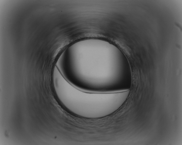 X0000093430015200710120927
