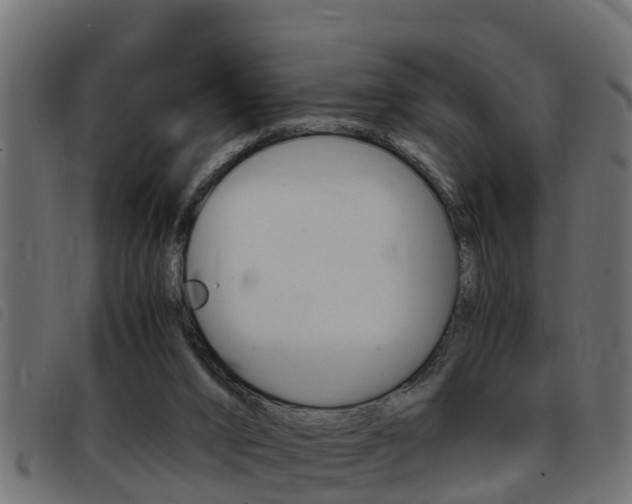 X0000093430016200710120927