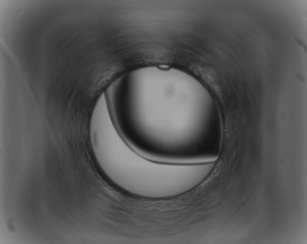 X0000093430017200710120927