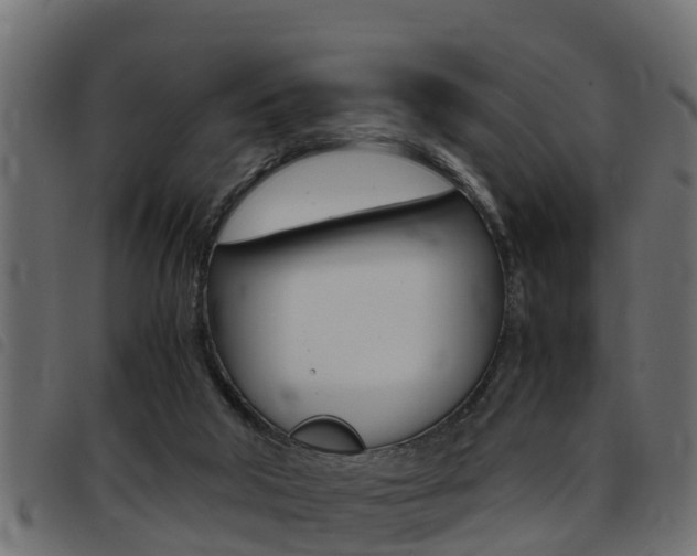 X0000093430018200710120927