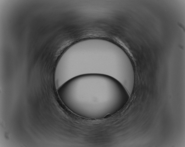 X0000093430019200710120927