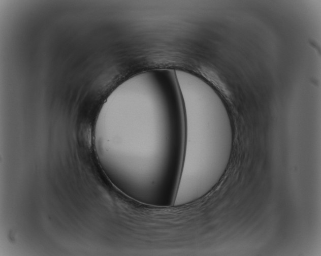 X0000093430021200710120927