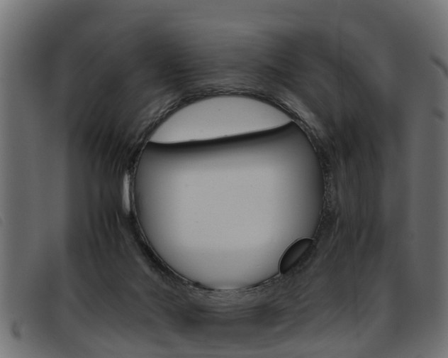 X0000093430022200710120927