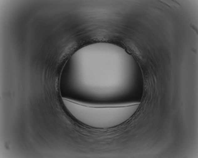 X0000093430023200710120927