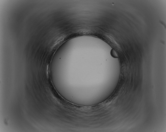 X0000093430024200710120927