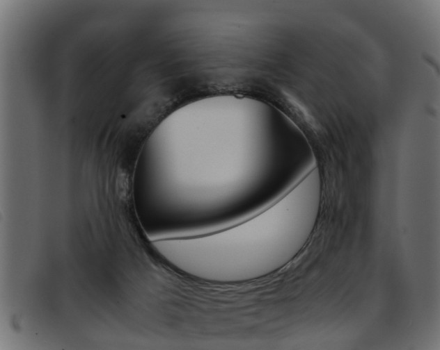 X0000093430025200710120927