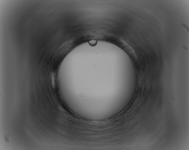 X0000093430026200710120927