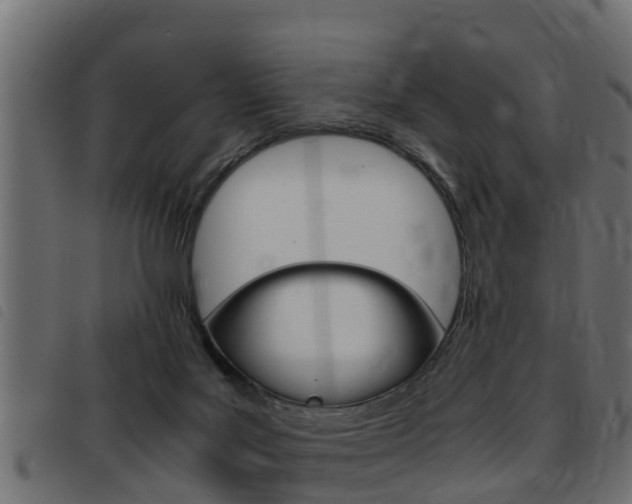 X0000093430027200710120927