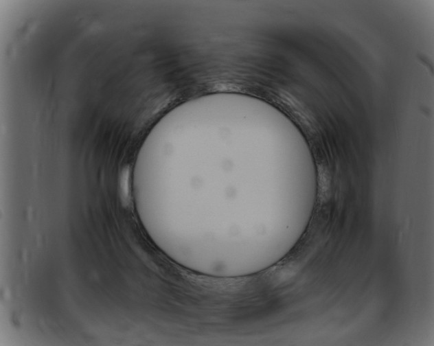 X0000093430028200710120927
