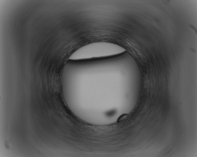 X0000093430030200710120927