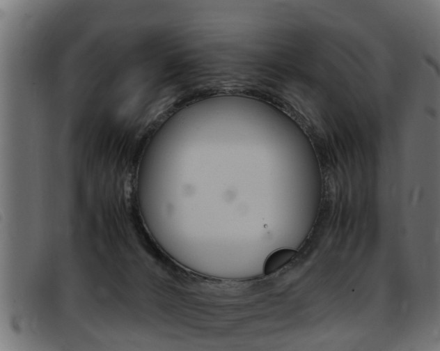X0000093430032200710120927