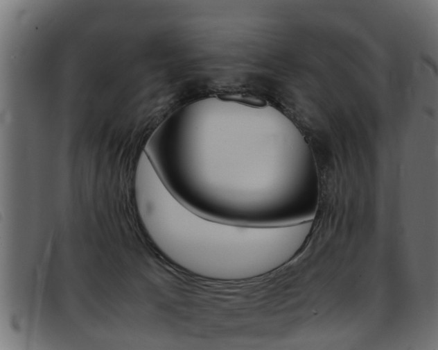 X0000093430033200710120927