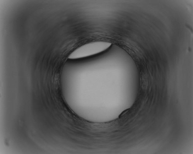 X0000093430034200710120927