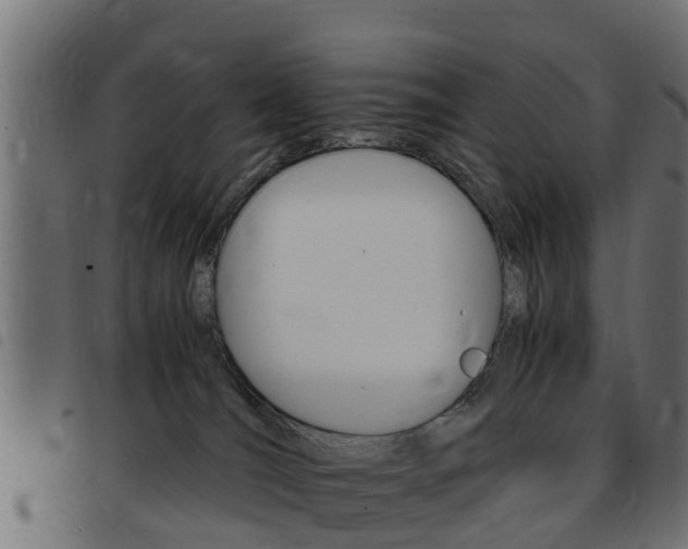 X0000093430036200710120927