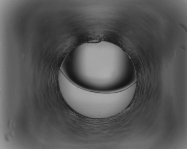 X0000093430037200710120927