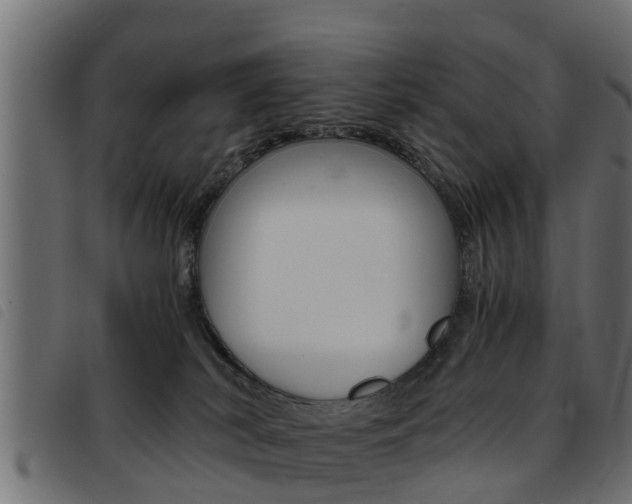 X0000093430038200710120927