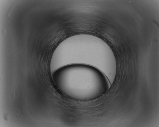 X0000093430039200710120927