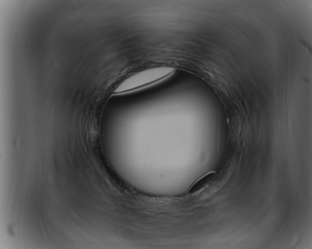 X0000093430040200710120927