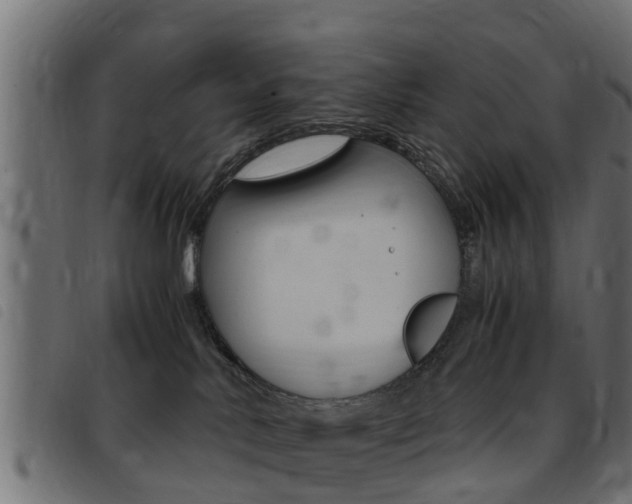 X0000093430042200710120927