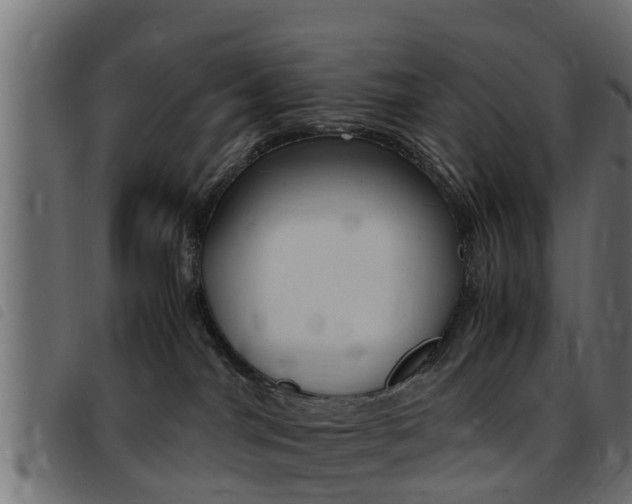 X0000093430044200710120927