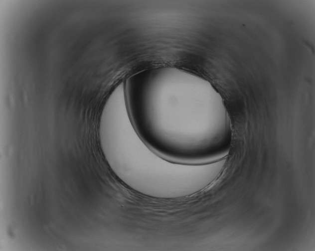 X0000093430045200710120927