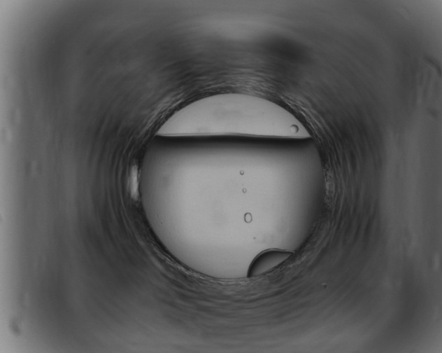 X0000093430046200710120927