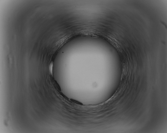 X0000093430047200710120927