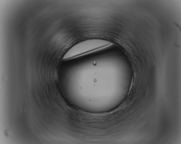 X0000093430048200710120927
