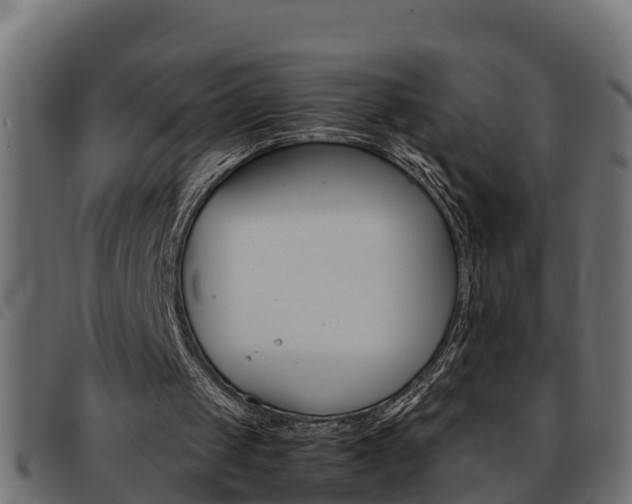 X0000093430049200710120926
