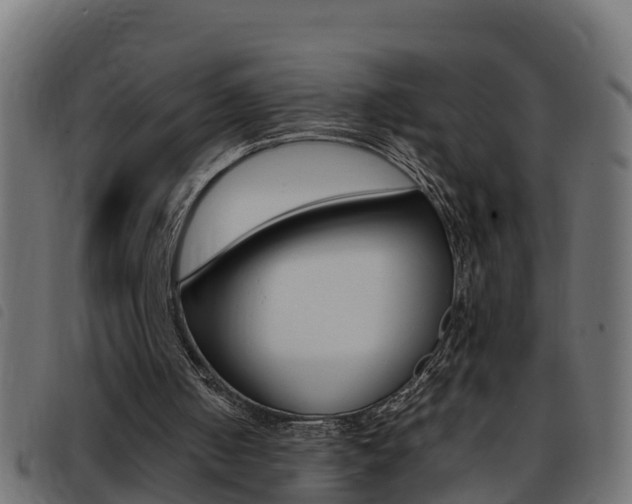 X0000093430050200710120926
